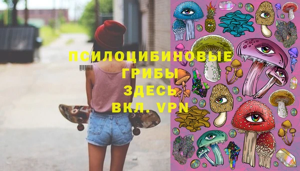 тгк Баксан